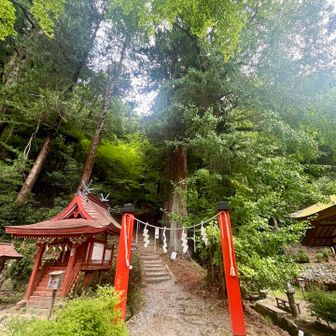 山道入り口
ここから入山🙏