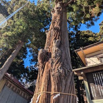 御神木
エネルギーを貰う✋️