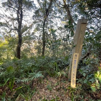 富山標識の先は荒れ道⚠️
歩きましたがバリルートみたくなってるので戻るのが○⚠️