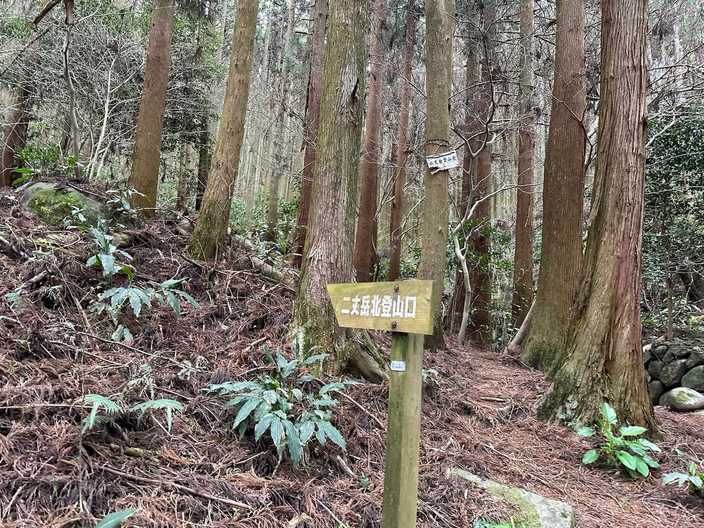 やっと登山口に到着！
ここから登りまーす