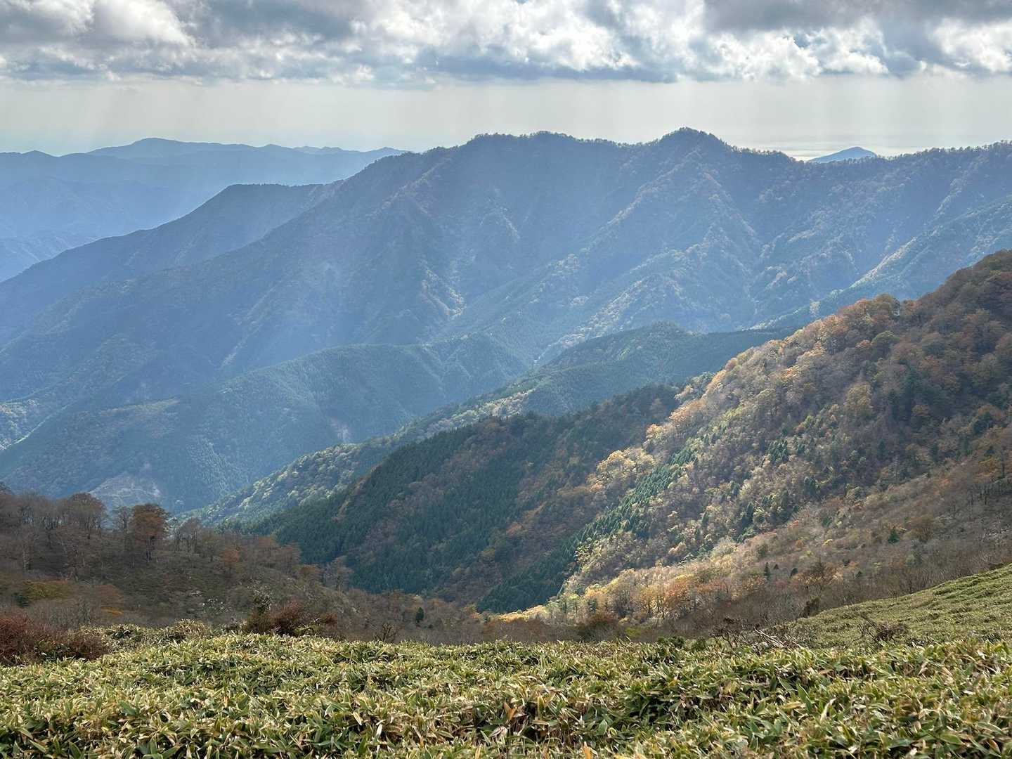 太平洋見えた