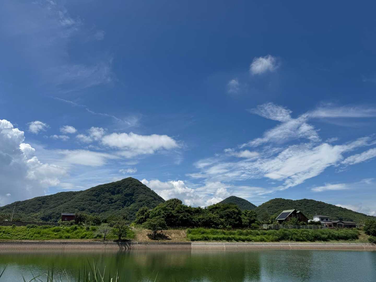 青と緑さいこー