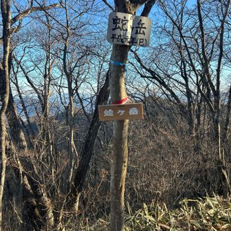平成元年も巳年やったんや。🐍