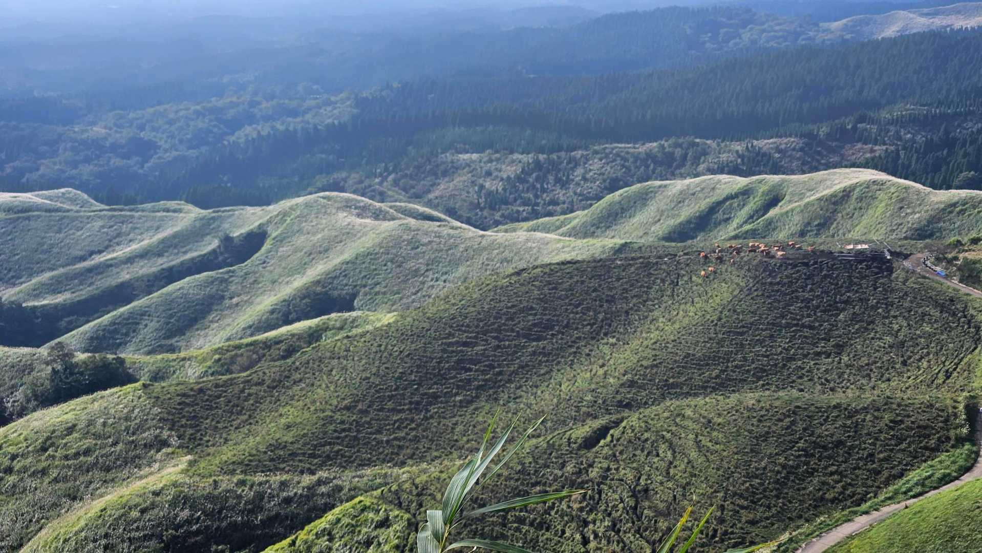 黒岩峠-清栄山-宮地嶽 往復コースの写真