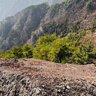 なので神掛岩はリアル押すなよＰ🤣

落ちたら1発でイケる👻