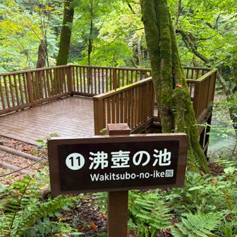 沸壺の池🪧