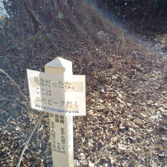 トレイル大会ではニセピークと称していた。