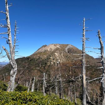 『白檜岳』からは行きと別ルートで避難小屋へ
『白根山』を目の前に見ながら