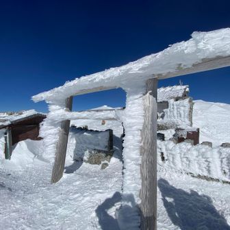 今年の諸々の安全祈願をしました