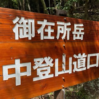 お疲れ様です。