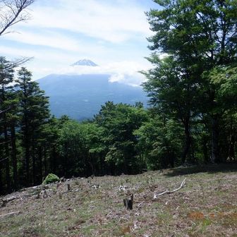 雲のマフラーの富士山だけが見える＠金山。
この後に節刀ヶ岳までピストンでピークを取りに行く
