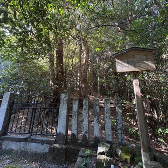 ここまで来る人はほぼいない。