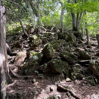 ゴロゴロの岩登り
この岩は蛇紋岩なので滑りますよ