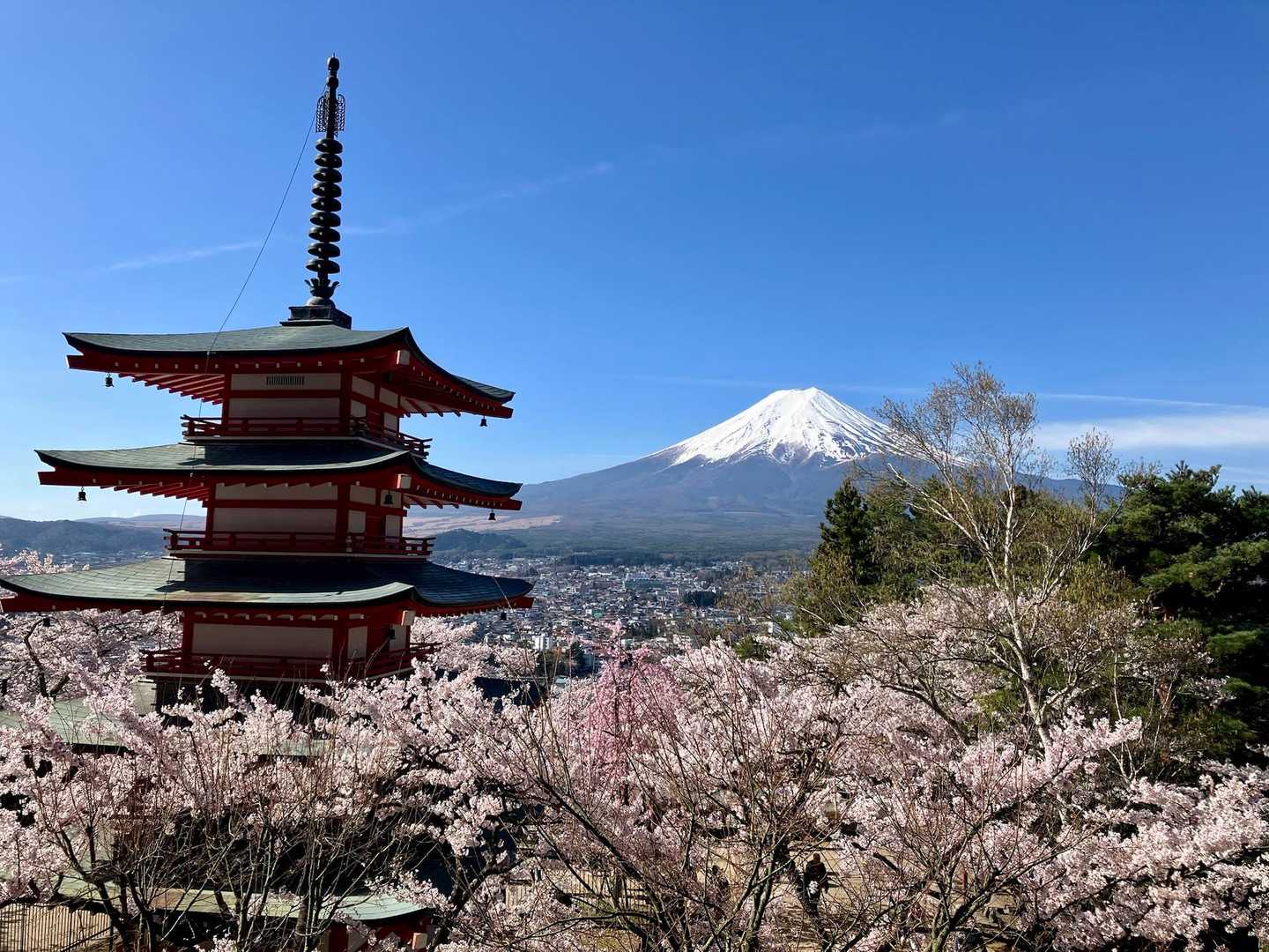 五重塔「忠霊塔」🗻🌸