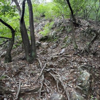かなりの急登を登ったり💦