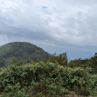 下山時は一瞬景色みえたけど、またガスかかり、雨も降って来ました
