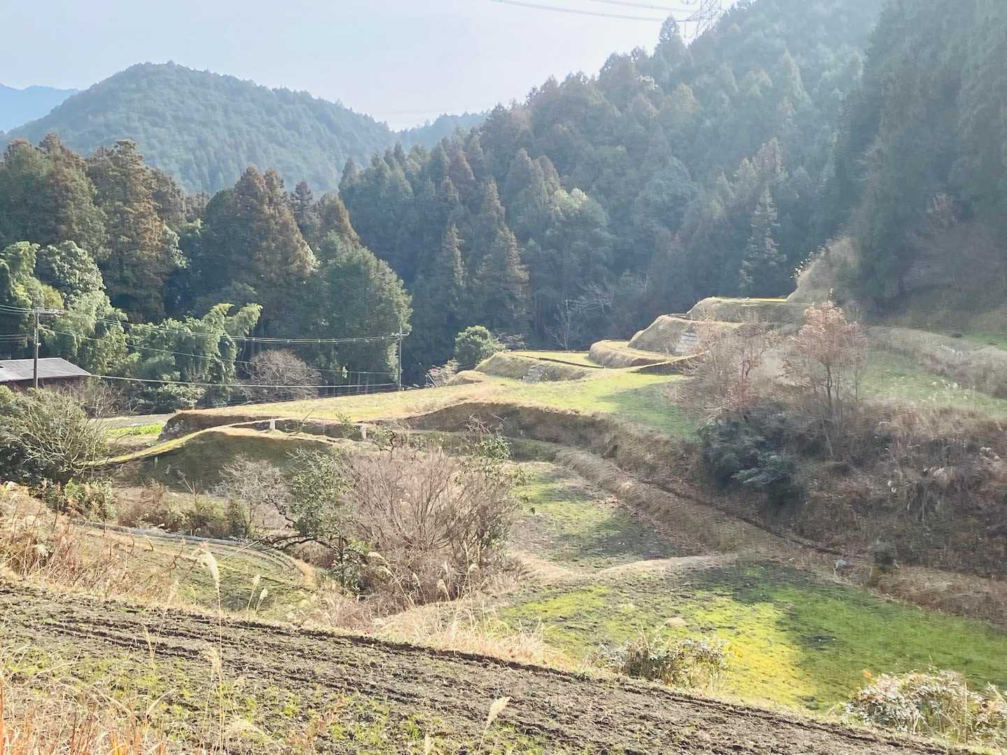 天見駅-井谷ノ峰-流谷観音堂 周回コースの写真