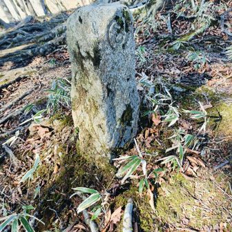 神奈川の道標!?