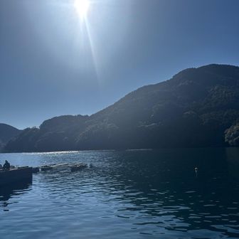 九鬼湾内。
ここはアオリイカの宝庫🦑