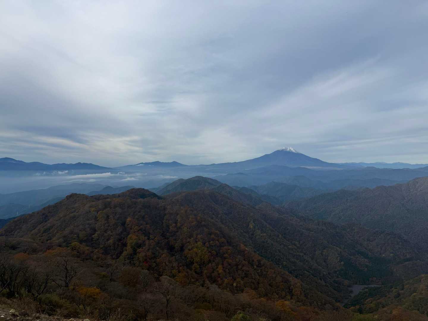 大倉登山口-鍋割山-塔ノ岳 周回コースの写真
