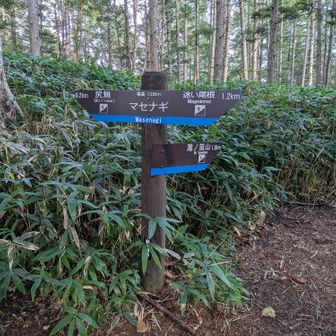 空木岳登山道は市民の方に愛❤️されていて、登山口付近に色々な施設・遊歩道あり。
そのため分岐も複雑。