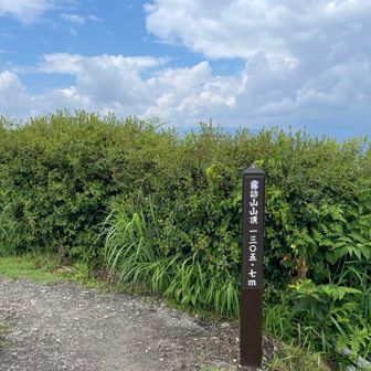 山頂は晴れ☀️