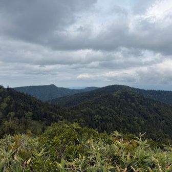 肝心の山頂は展望いいけど天気悪くなったんで残念な感じ。奥左が帝釈山で右が田代山だと思うんで歩いたところ全部写った写真。