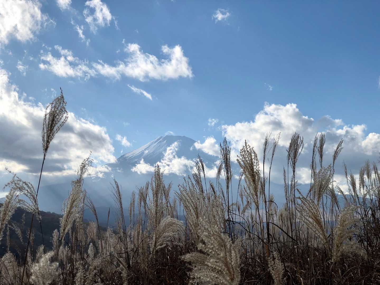 三国峠-鉄砲木ノ頭-三国山 周回コースの写真