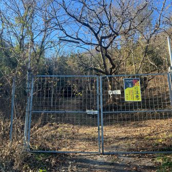 ゲートを通ります。熊注意