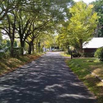 家族旅行村駐車場