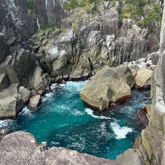 精一杯覗き込んでこんな感じ。