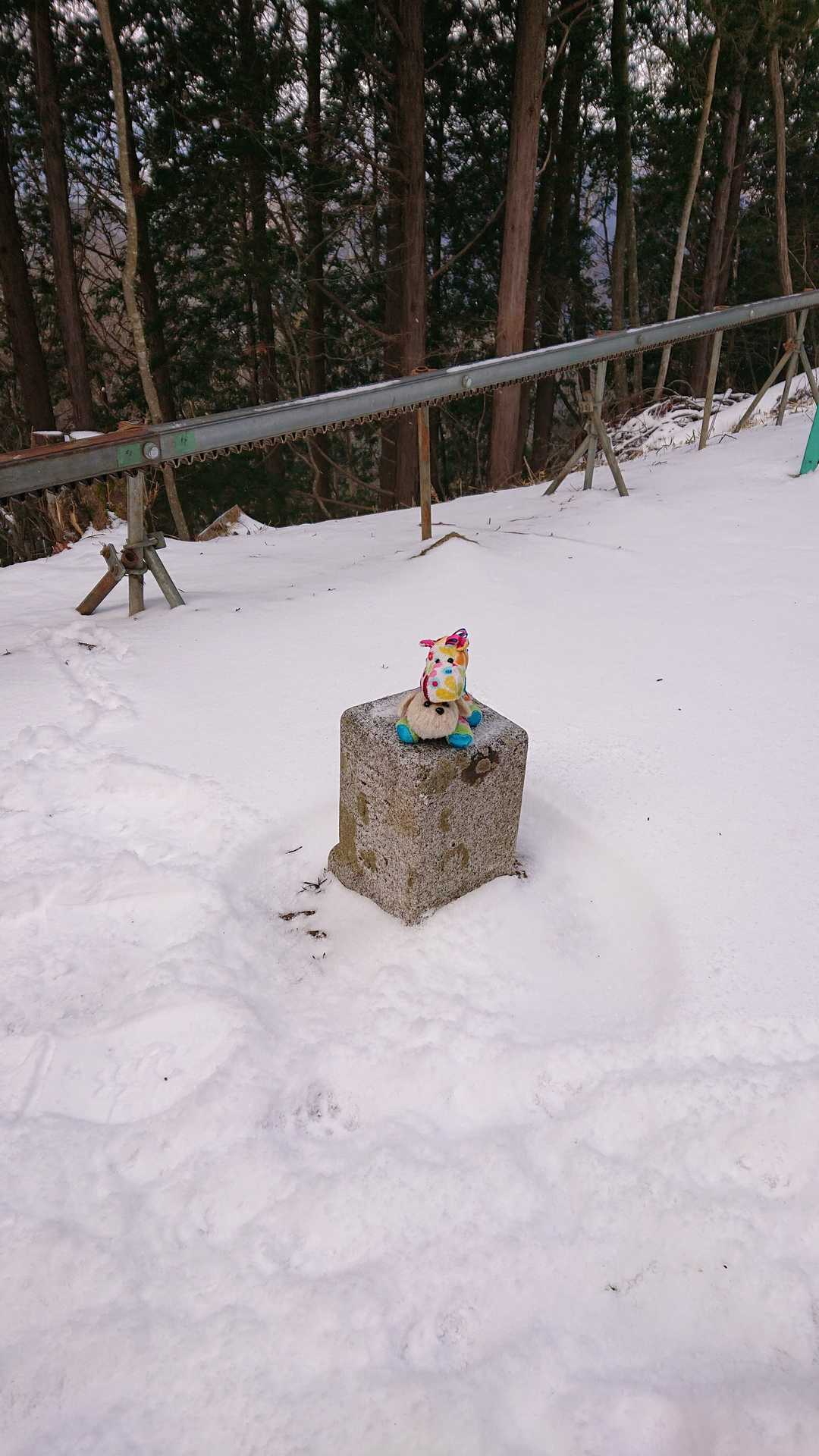 ３つ目のピーク小岩岳get😆✌️
やっぱり山頂表示無し😢
三角点があったので写真撮りました😊
めっちゃ強風で顔が痛い😭