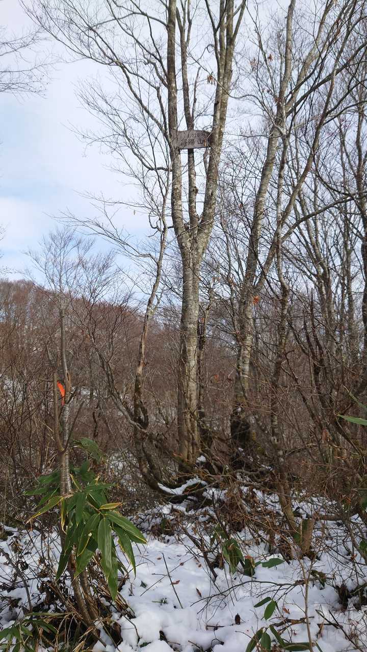 あんなところに山頂の標識