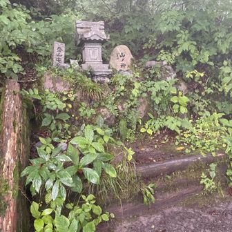 登山路は、丸太により階段状に整備されています。山ノ神が祀られていましたので🙏す。
