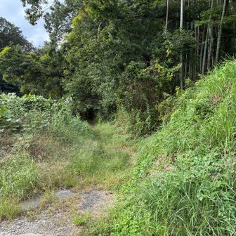 作ヶ畬（さくがあらく）の住宅街へ出る