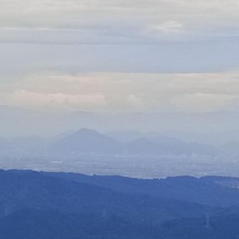金華山が見える。
天下の難攻不落とされた稲葉城を、竹中半兵衛はわずかな手勢で奇襲し無血開城したんだよね。
