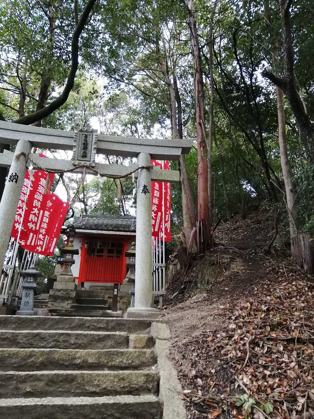 　階段を登った所にお稲荷さん⛩️
　良くみると右側に登り口が🤭