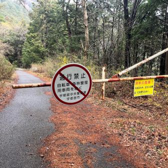 ここから3キロ弱ロード