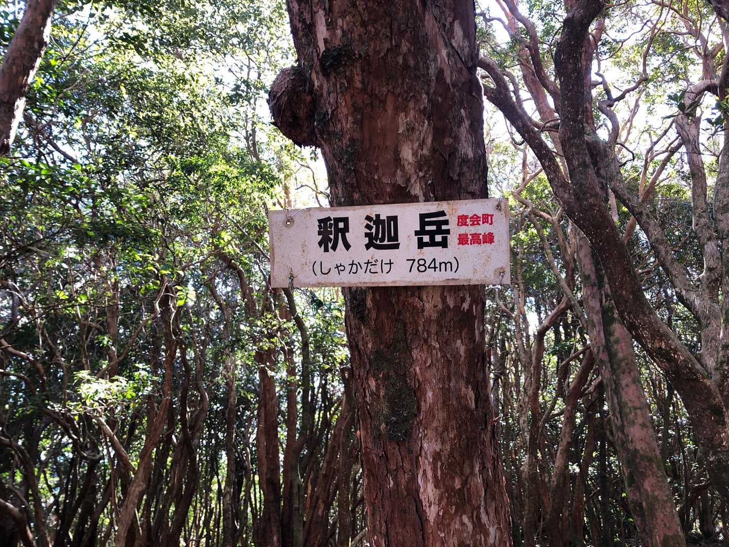 釈迦岳到着 
渡会セブンは去年の七洞岳に次いで2座目
正直ここまでの道のりはつまらないなぁ🥲