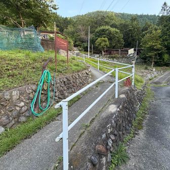 六ツ石山への取り付きは、こんな場所から山中へと入って行き、今日イチ核心部の榛木尾根(はんのきおね)に取り付く。これも読めない漢字だ。
