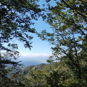 頂上からはやっと見えます。