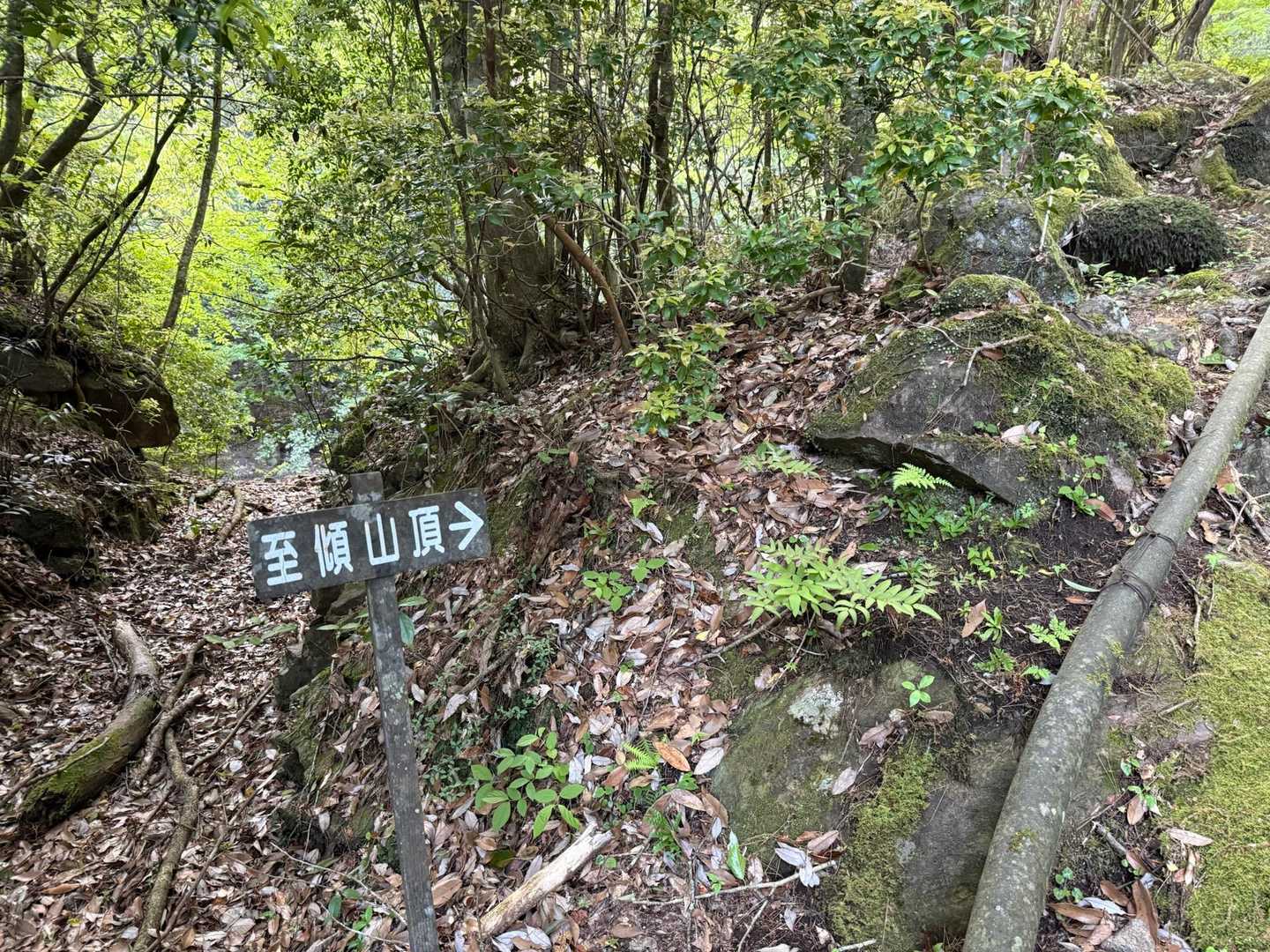 テン泊装備を背負って
山頂まで行けるか不安しかない
