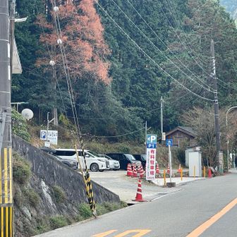 ここからスタート