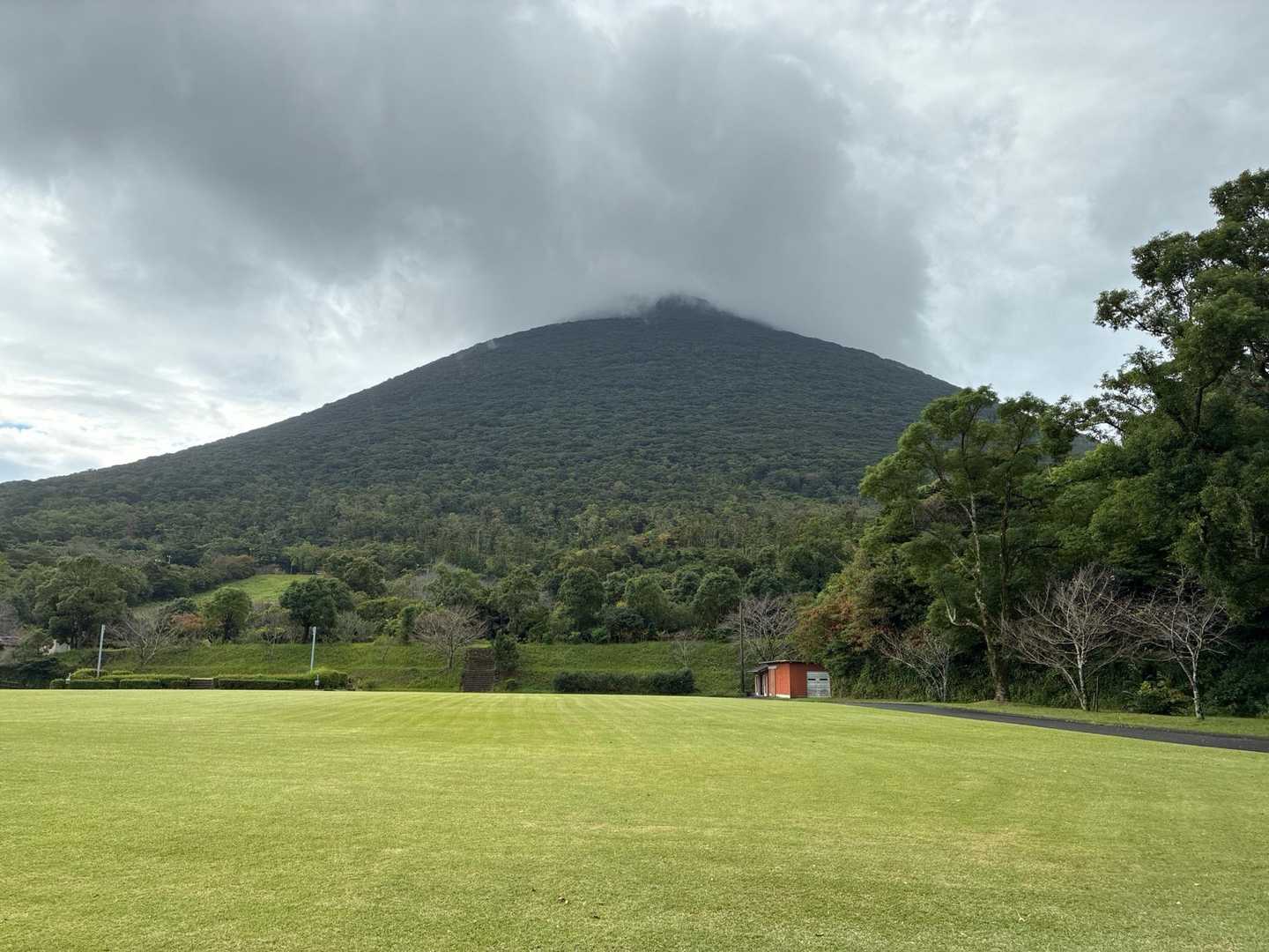 頭が少し隠れているだけなんだけど