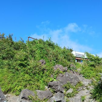 ようやく山頂が見えて来ましたよ。このルートは長いけど、急峻な感じはしないですね。