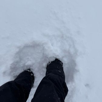 うん。ラッセルの所と沈んだ深さは変わらないね😅