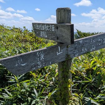 大池を経由して道後山へ