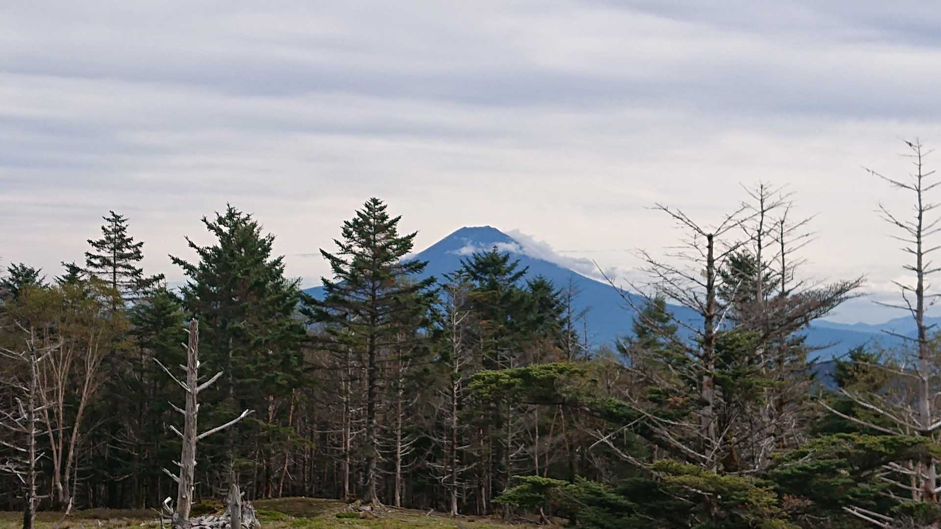 あっ、富士山見えました‼️😆