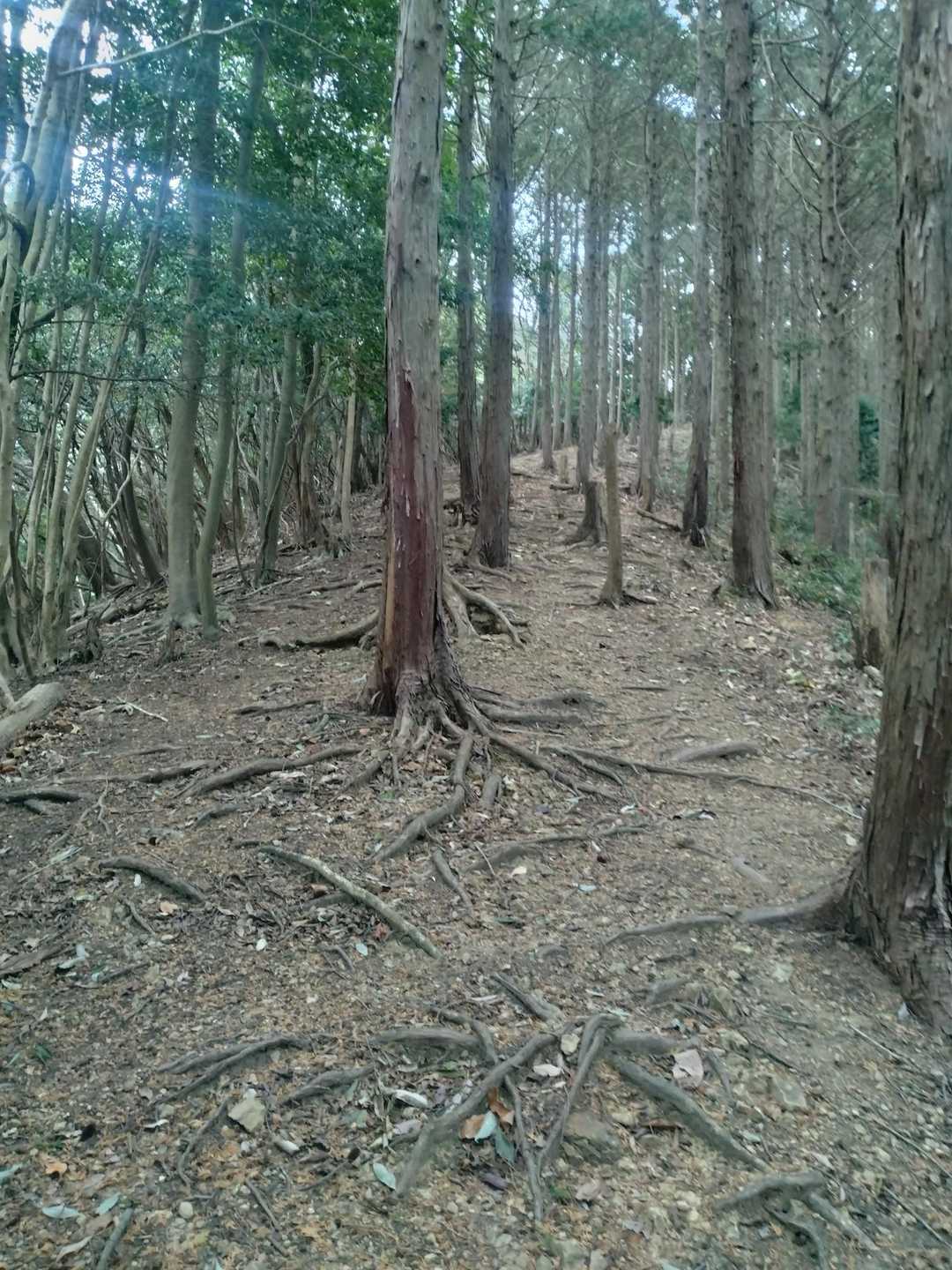 次の白山（首羅山）へ。