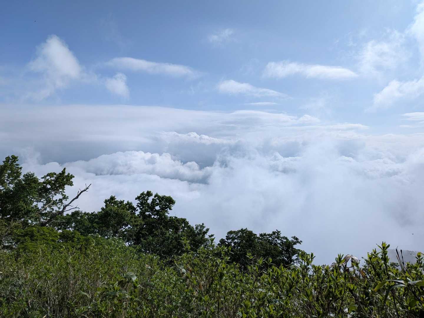 た〜っぷりなモックモク💭💭💭の雲海